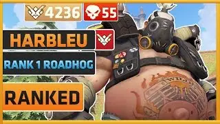 Rank 1/Top 500 God Tier Roadhog Player Harbleu | Overwatch