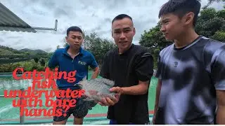 swimming pool fishing challenge (thử th&aacute;ch bắt c&aacute; trong bể bơi)
