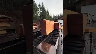 Second load of beams for off grid build #offgrid #sawmill #wood #woodworking #diy