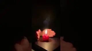 Beautiful Rose Flower Candle 🌹🕯️ | Calm & Relaxing Candle Art