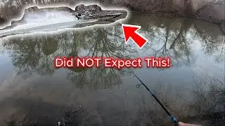 Bank Fishing for Crappie Catch Clean Cook!