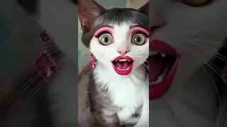 นักดนตรีน่ารักมาก #คลิปตลกขำๆ #funny #hahaha #colonelkkjϟ #ทัศนีย์พาเพลิน