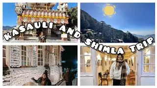 Kasauli & Shimla Trip | Office Tour | Last vlog of 2024 🏔️🪷