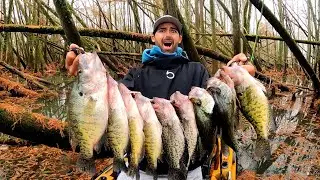 I&rsquo;ve NEVER SEEN Slab Crappie Go THIS CRAZY&hellip;.. (INSANE)