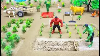 DIY Irrigation System Using Hand Pump | Hulk in Field | Farming Project @DPNFarming