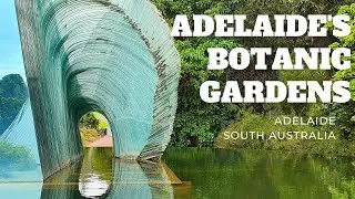 Adelaide's Botanic Gardens, Adelaide, South Australia