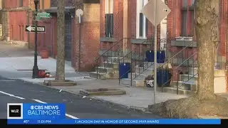 Officer who stood trial for death of Freddie Gray to oversee internal affairs for BPD