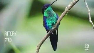 Honduras Natural Heart of Central America