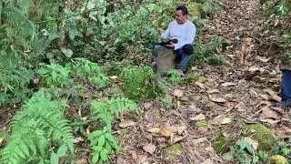 A PAJARIAR 5
