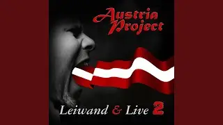 Du verstehst mi ned (Live)