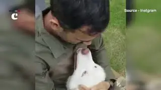 MS Dhoni's adorable practice session with his dogs will leave you in awe !