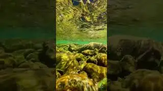 Deosai National Park: Sounds Of The Underwater World