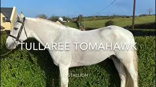 Tullaree Tomahawk