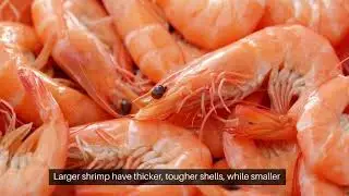Are Shrimp Shells Edible and Healthy? Unveiling the Surprising Truth in 179 Seconds!