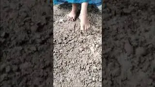 kerala girls feet