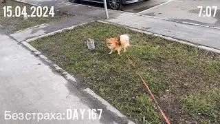 Без страха: Day 167