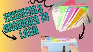 Организация блокнотов CC Essentials | Цветовая кодировка частей речи для современных и латинских ...