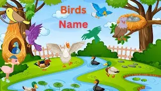 alphabets birds name learn for kids | a for avocet b for bat | abc song for toddlers #abcdsong