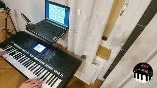 Boys - Wolność - cover - Yamaha PSR-S750 (new version 2025)