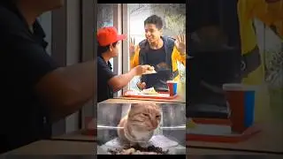 bro😂#cat #funny #explore #memes #bombastic #viral #shorts