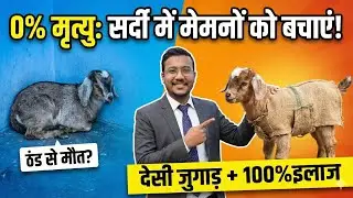 सर्दी में बकरी के बच्चे मर रहे हैं? (Pneumonia का पक्का देसी इलाज) | Goat Kids Winter Care