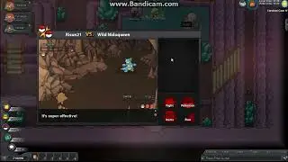 top 2 ways to lvl up in pokemon revolution online (ceruleon cave)