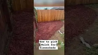 Steps to choosing mulch #howto #steps #mulch #landscapingexperts