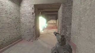 Pop Dog Molotov | Train Tactics | CS2