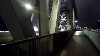 Walking The Taylor Southgate Bridge