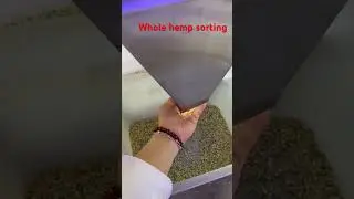 RealTech color sorter sort whole hemp by color