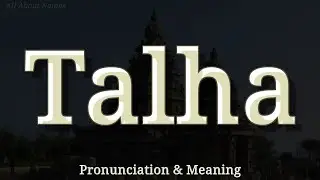 Talha - Pronunciation and Meaning