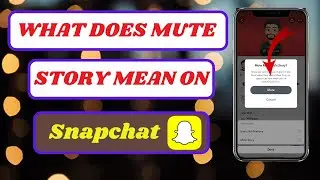 what does mute story mean on snapchat|what does muting someone's story on snapchat mean|2024