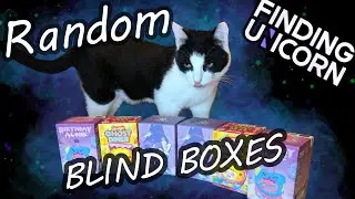 RANDOM MYSTERY UNBOXING! Shinwoo & Aamy x F.un!