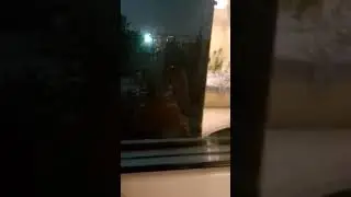 а почему именно в май