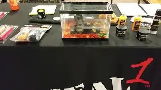 SIGFISH @ SCHEELS in Reno/Sparks