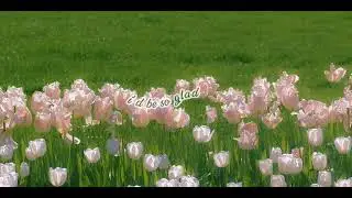 she likes spring, i prefer winter - slchld