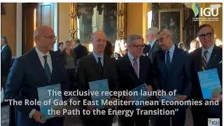 Highlights from IGU & EMGF Report Launch