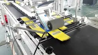 Board-Stopper Feeder Labeling Machine | High-Speed Card Feeder for Carton & Cardboard Labels|SKILT
