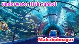 Underwater Fish tunnel Exhibition || Underwater fish Exhibition Mahabubnagar 2023  #fishexhibition