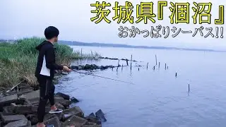 シーバスの聖地『茨城県、涸沼（ひぬま）』で釣りをしてみた！！！