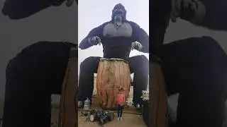 king Kong 🥁