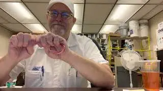 Dr Pepper Flavored Candy Cane # The Beer Review Guy