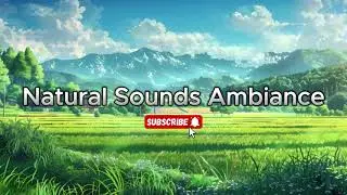 Pastel Stillness 🌸 Soft Ambient Piano & Bells | Deep Calm &bull; Meditation &bull; Relaxation