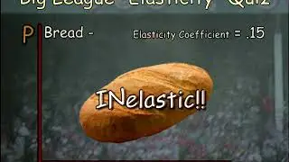 16. Elasticity