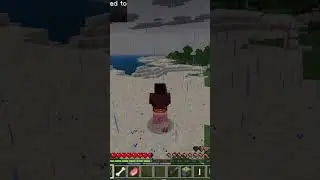I wanna break up, Minecraft edition. #memes #minecraft #meme #breakup