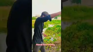 🏞️ Fishing at Rawal Dam 🔥 Rawal Dam Fishing Secrets &ndash; Catching  Rahu🐠  Must Watch!