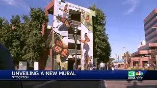 New Stockton butterfly mural brings life to city-owned garage