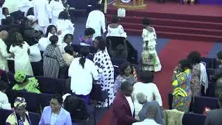THEME: BLESSED IS THE FRUIT OF YOUR WOMB