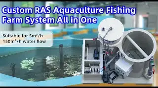 Recirculating aquaculture system tilapia fish farming equipment