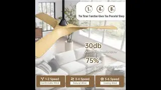 Commercial Ceiling Fan Solution for Large Spaces | Quiet, Efficient & Reliable